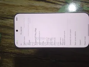 Xiaomi 17 Pro Max 1 TB White