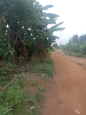 Plot of Land Good Location Akropong Daabaa