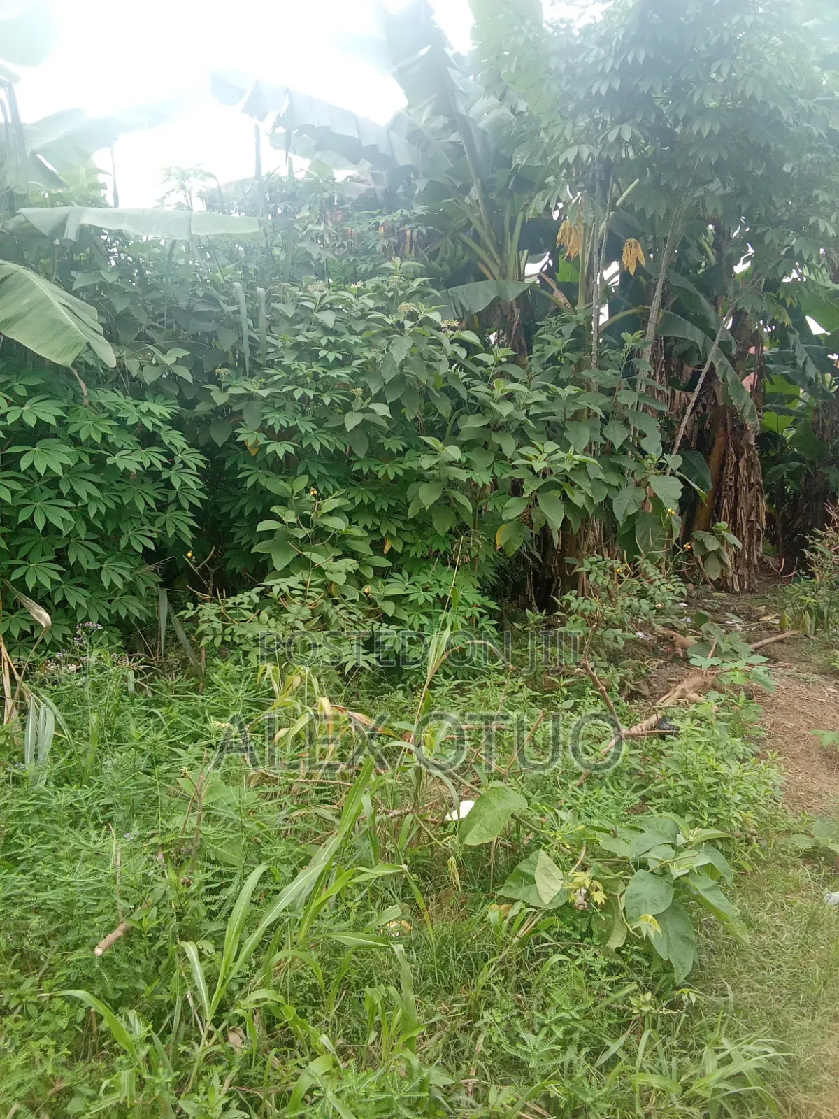 Plot of Land Good Location Akropong Daabaa