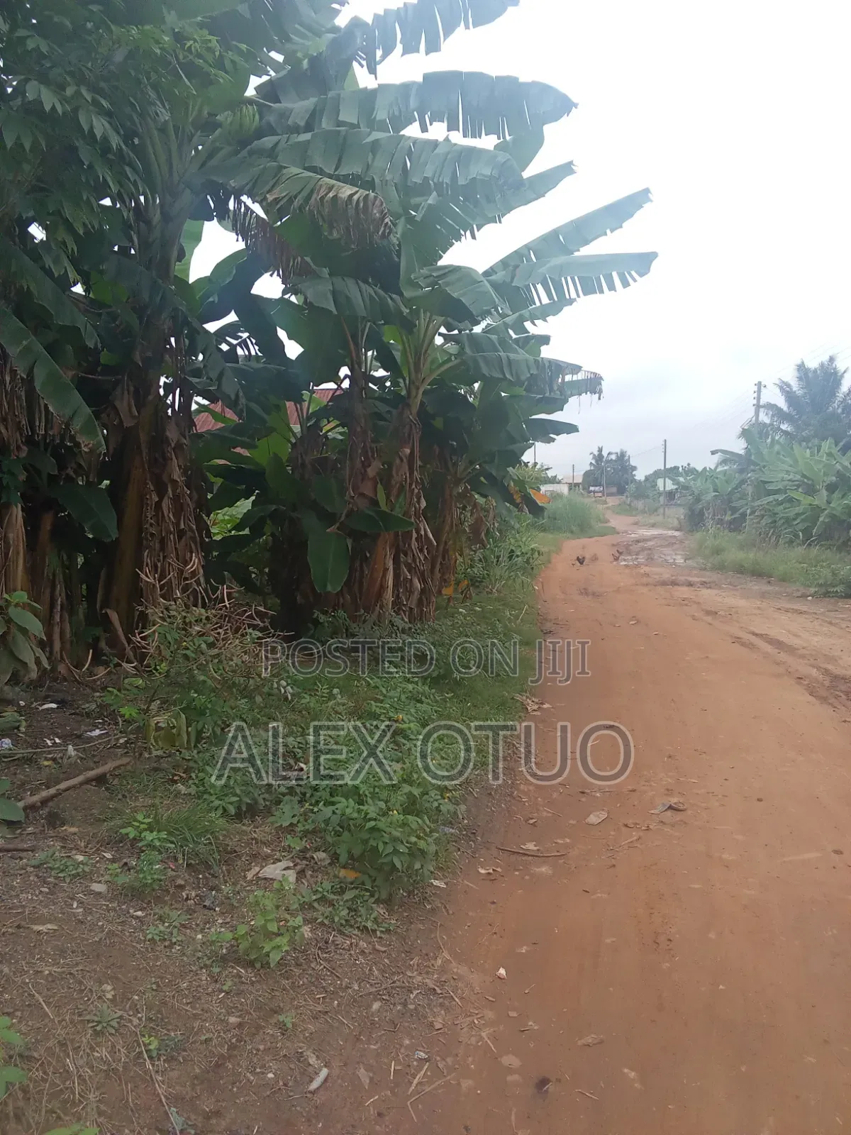Plot of Land Good Location Akropong Daabaa