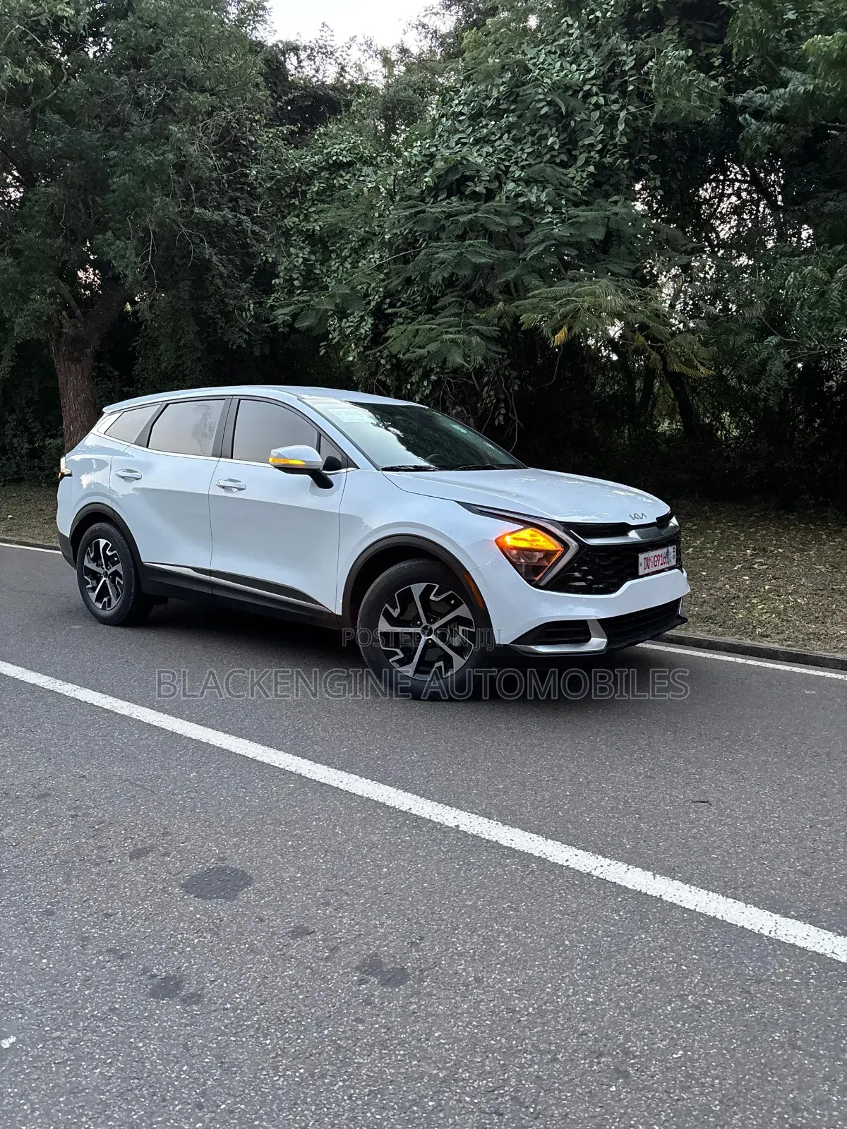 Kia Sportage EX 2023 White