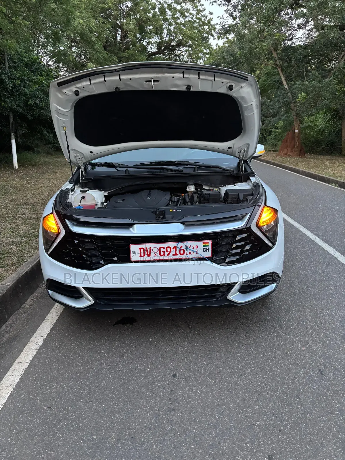 Kia Sportage EX 2023 White