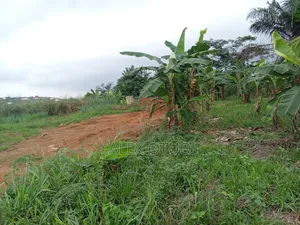 Plot of Land Asuofua Asaaman