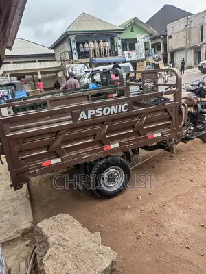 Apsonic AP150-200 2026 Brown