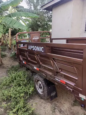 Apsonic AP150-200 2026 Brown