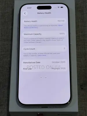 Apple iPhone 17 Pro Max 512 GB Silver