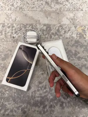 Apple iPhone 16 Pro Max 512 GB Silver