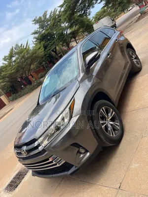 Toyota Highlander LE 2019 Brown