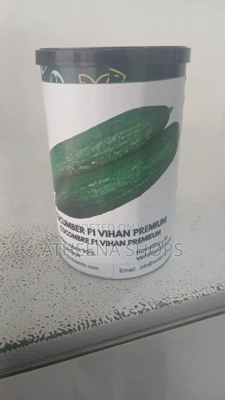 F1 Vihan Cucumber Seeds