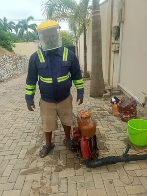 Bedbugs Fumigation