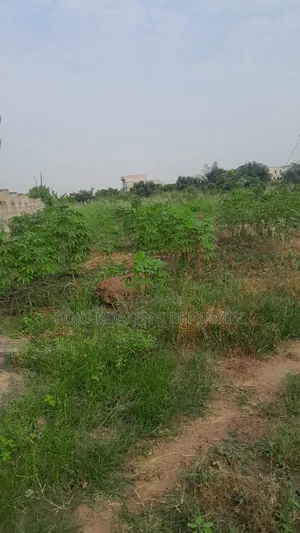 Plots of Land for Sale
