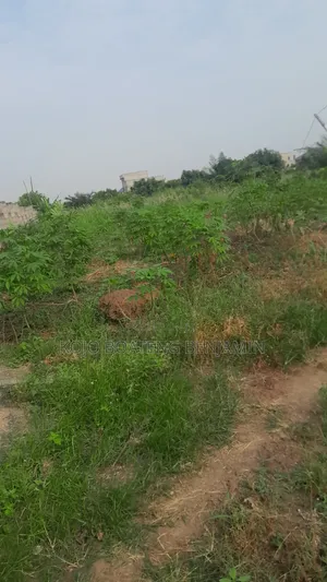 Plots of Land for Sale