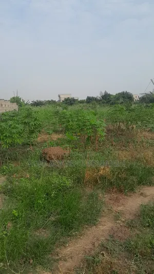 Plots of Land for Sale