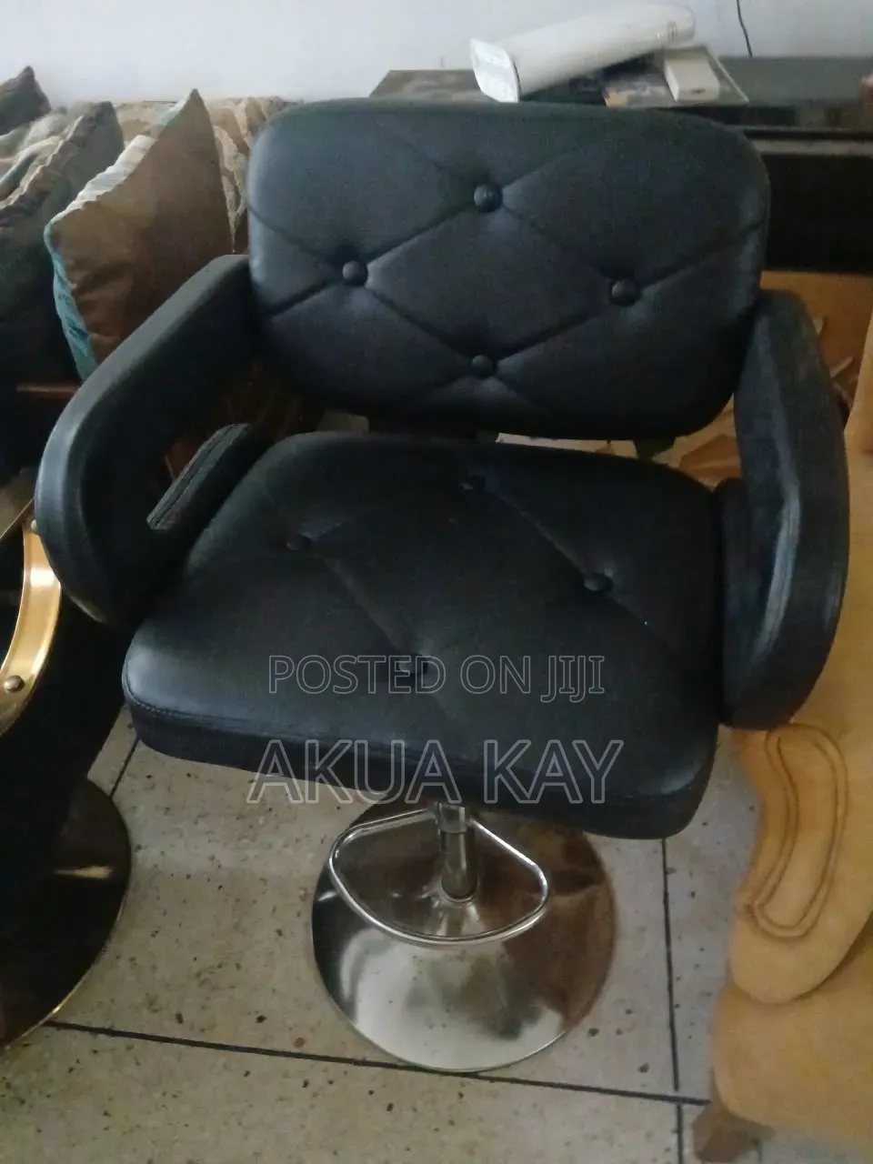 Salon Chair