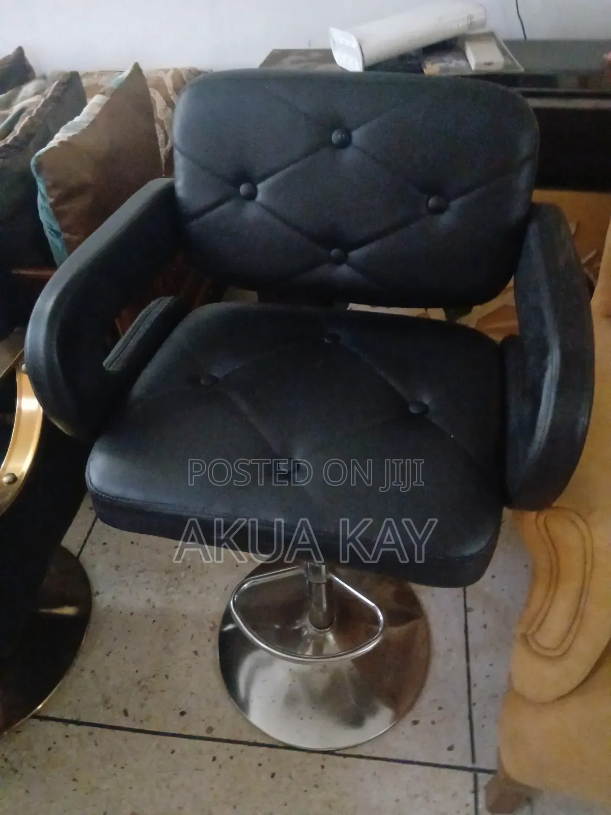 Salon Chair