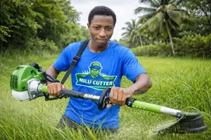 Professional Grass Cutting Lawn Care Services