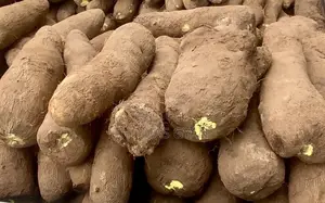 Fresh Farm Yams