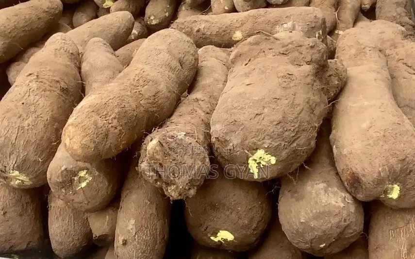 Fresh Farm Yams