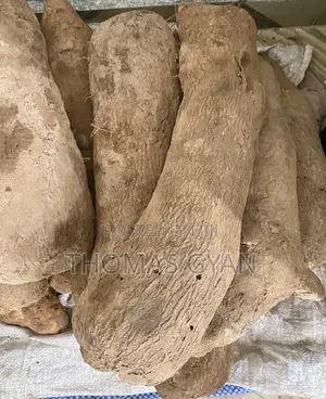 Fresh Farm Yams