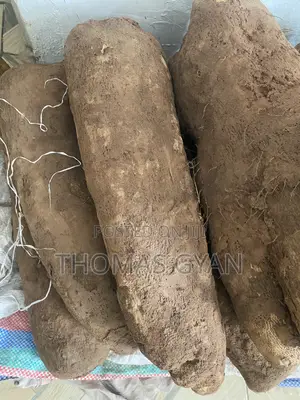 Fresh Farm Yams