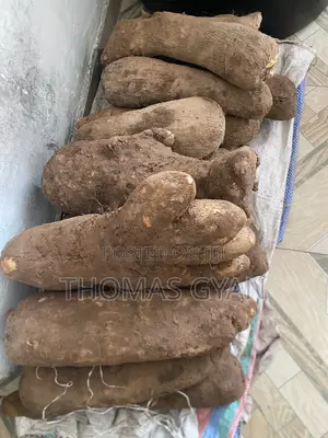 Fresh Farm Yams