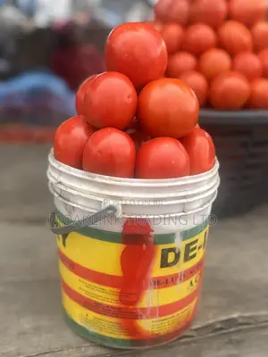 Fresh Tomato