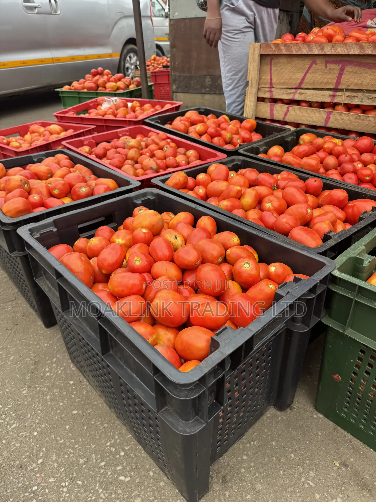Fresh Tomato