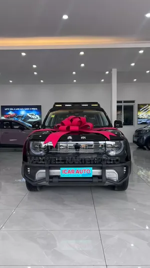 New Car 2025 Black