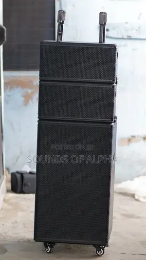 Active Speaker