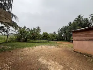 4-Acre Commercial Property With School Multiple Buildings for Sale