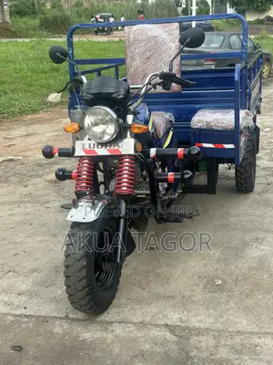 Luojia Cargo Tricycle 2025 Blue