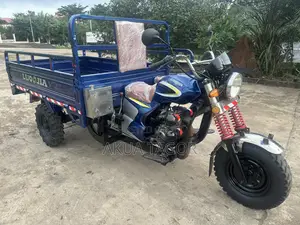 Luojia Cargo Tricycle 2025 Blue