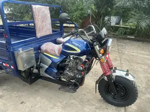 Luojia Cargo Tricycle 2025 Blue