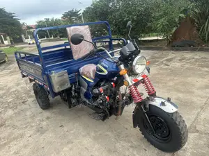 Luojia Cargo Tricycle 2025 Blue
