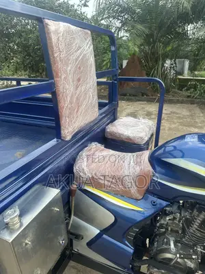 Luojia Cargo Tricycle 2025 Blue