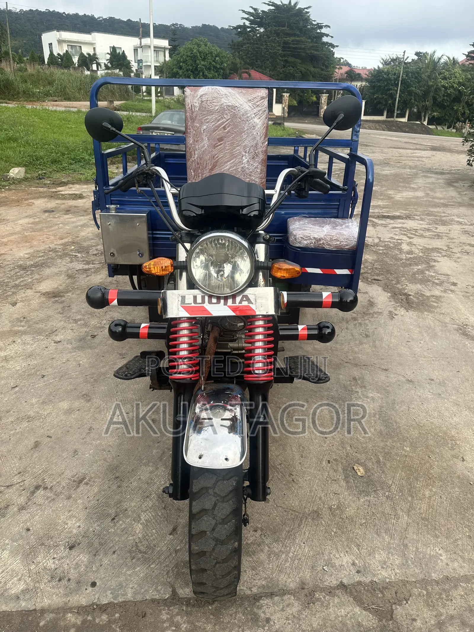 Luojia Cargo Tricycle 2025 Blue
