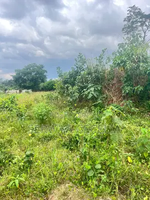 100% Clean Title Land — Chiransa, Off the Sokoban Road