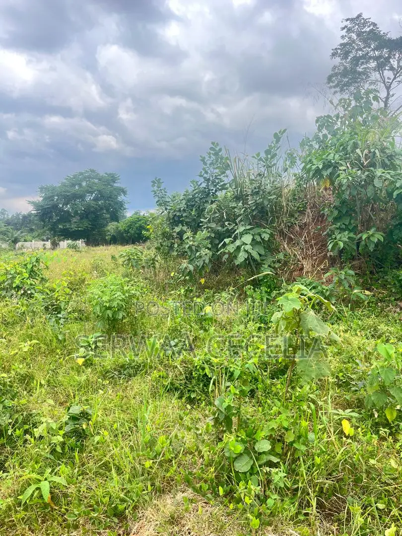 100% Clean Title Land — Chiransa, Off the Sokoban Road