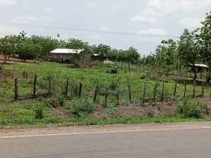 Poultry/ Goat/ Piggery