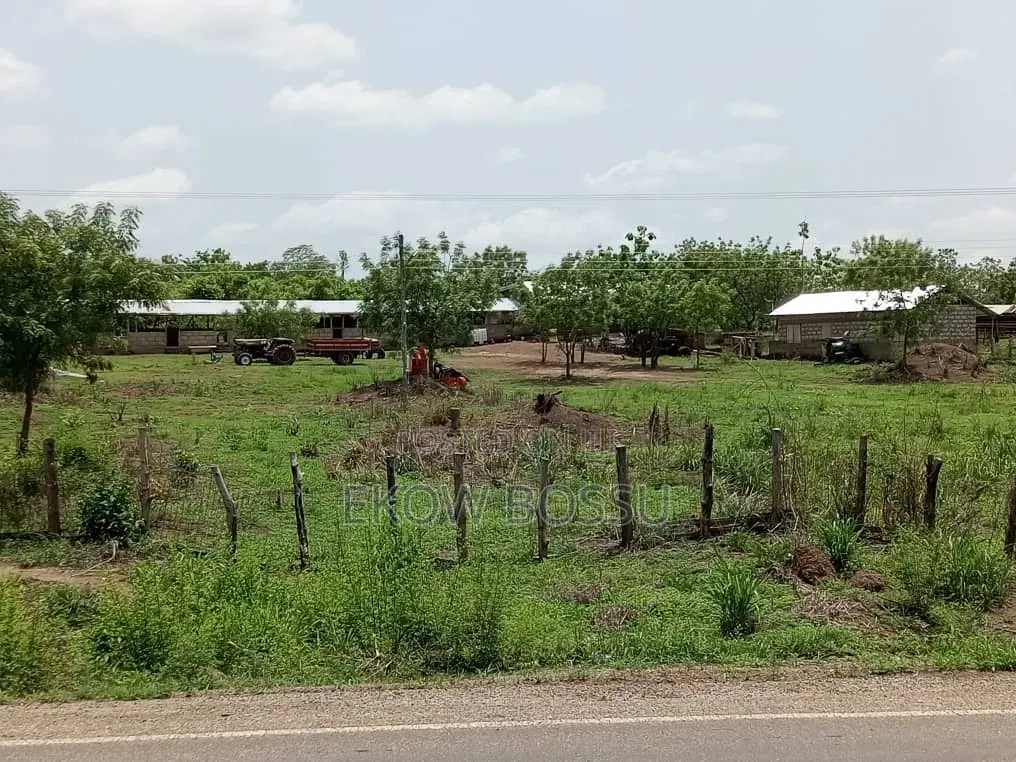 Poultry/ Goat/ Piggery