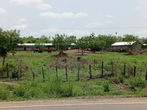 Poultry/ Goat/ Piggery