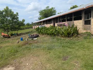 Poultry/ Goat/ Piggery