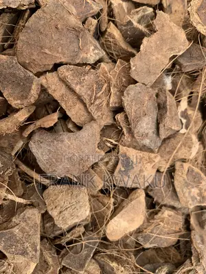 Coir Fibre/Cocopeat/Coco-Shells