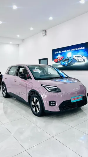 New Aion UT 2025 Pink