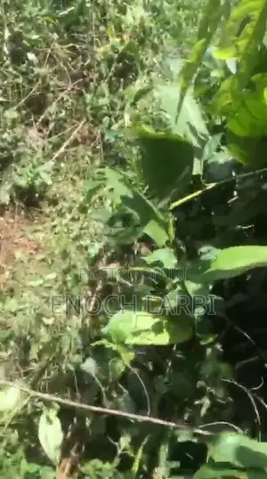 8.33 Acres Farmland for Sale, 1 Acre ( 4 Plots )