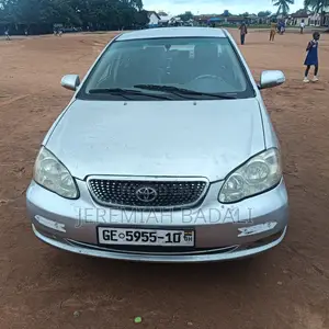 Toyota Corolla 2007 Gray