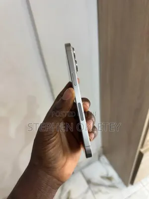 Apple iPhone 15 Pro Max 512 GB Silver