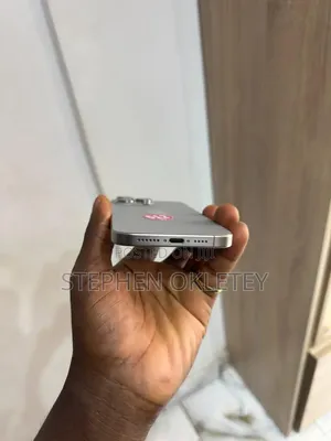 Apple iPhone 15 Pro Max 512 GB Silver