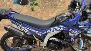 Apsonic AP250 PRO 2025 Blue