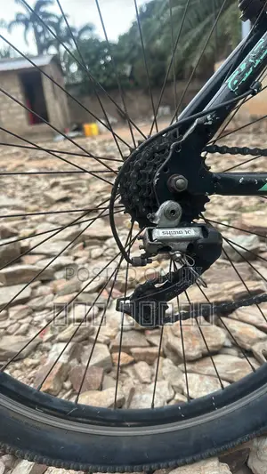 Am Selling My Bike